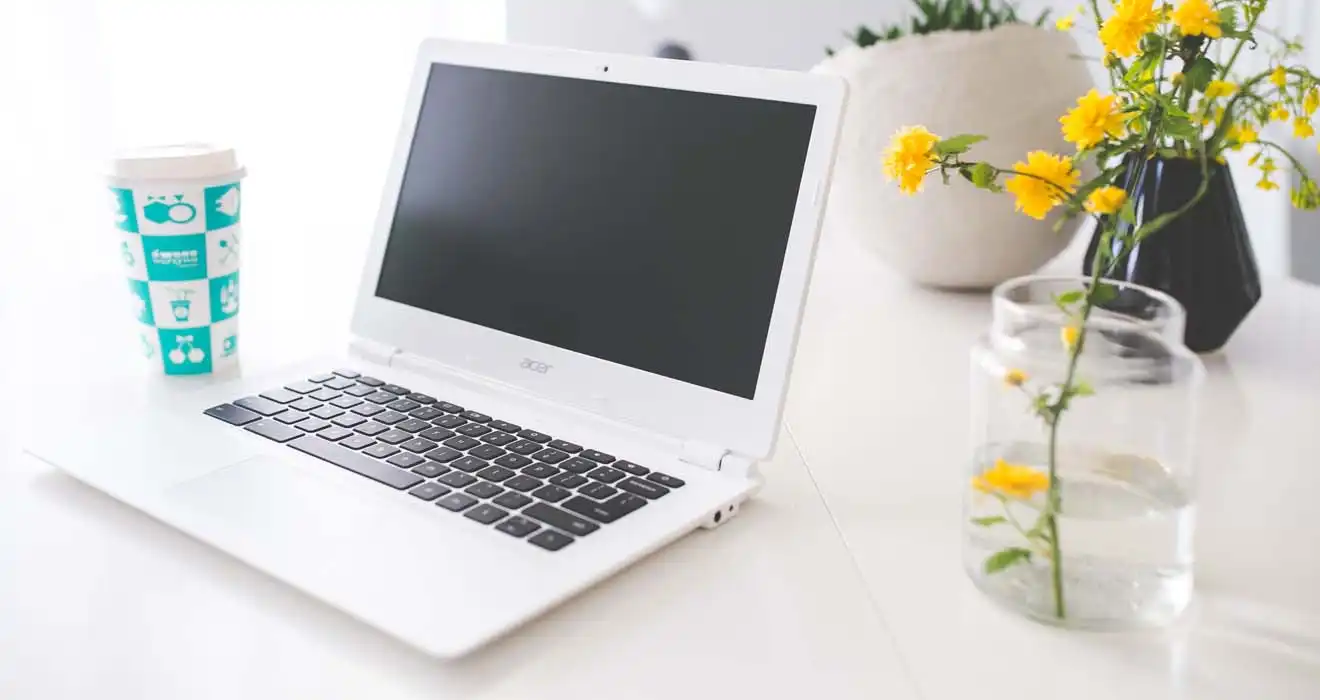 Ремонт ноутбуков Acer в Егорьевске